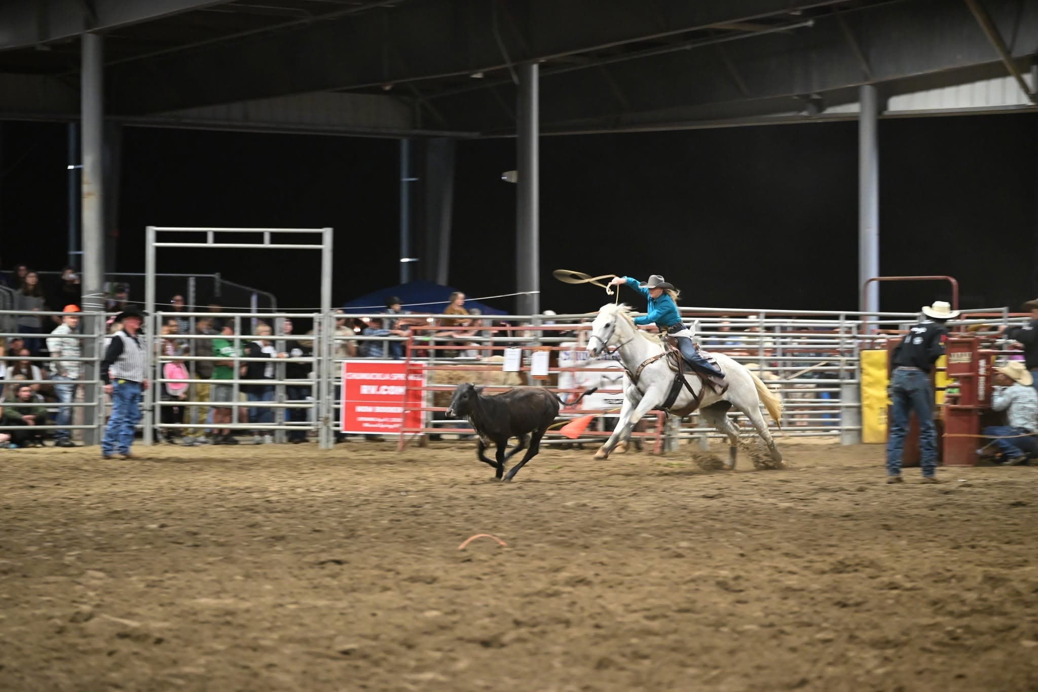 Mounted roper pursuing a calf at the Sheriff’s Rodeo