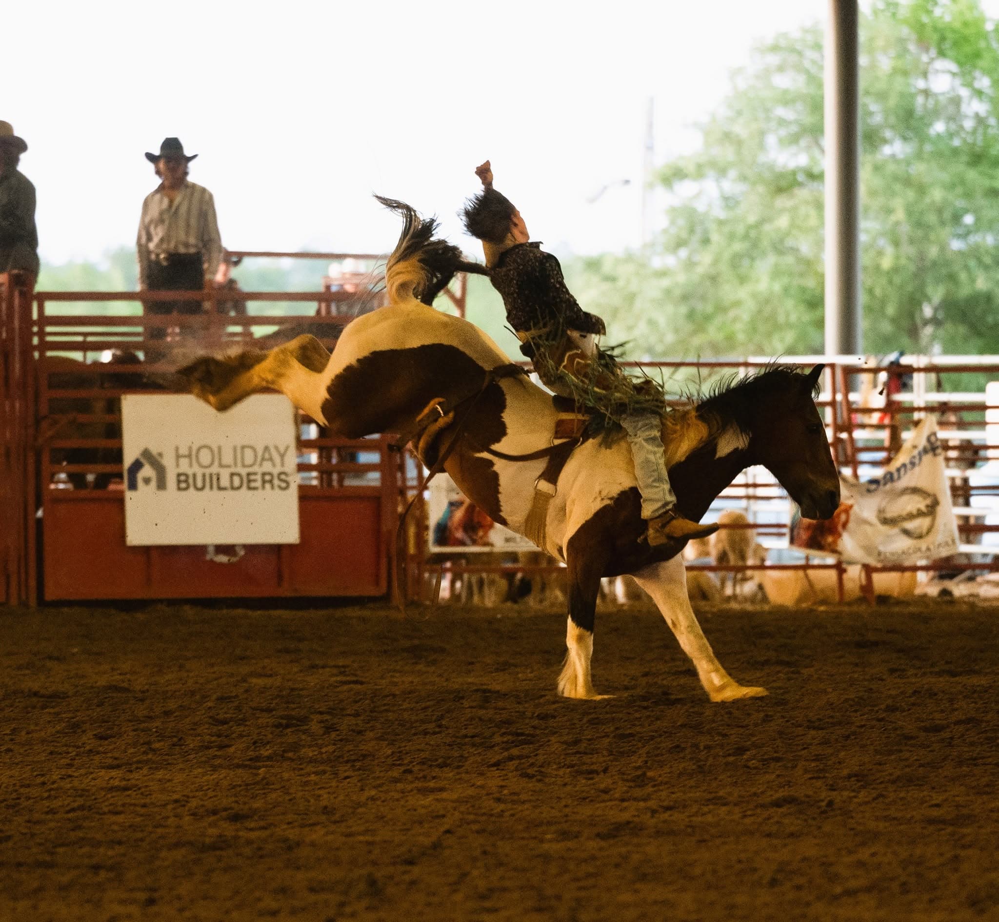 Bronc rider competing in the Sheriff’s Rodeo arena
